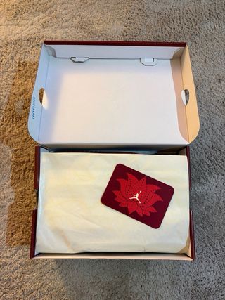 Air Jordan 1 Mid SE Tiki Leaf