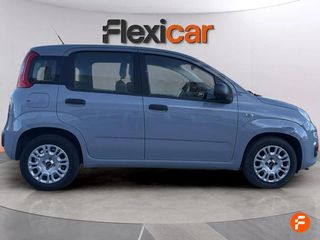 Fiat Panda Panda Hybrid 1.0 Gse 51kw (70CV)
