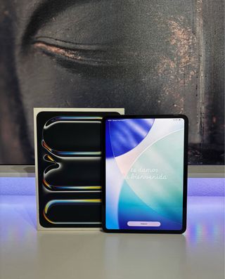 iPad Pro 11 M4 256GB con AppleCare+