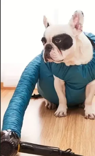 Bolsa de secado para mascotas talla S