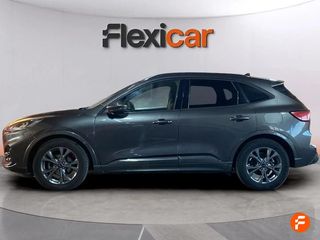 Ford Kuga ST-Line 2.0 EcoBlue 88kW (120CV) Auto