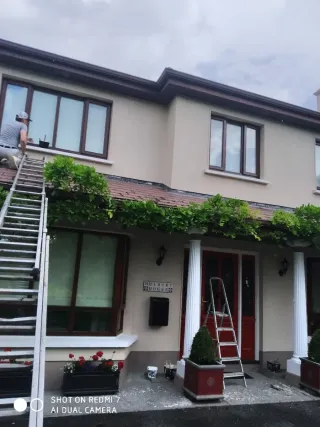 servicios in pintura y jardiniro y limpieza,