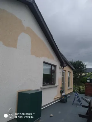 servicios in pintura y jardiniro y limpieza,