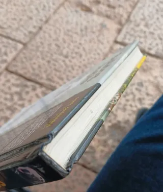 Bulldog Inglés (Excellence) (Spanish Edition)