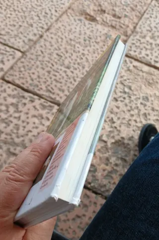 Bulldog Inglés (Excellence) (Spanish Edition)