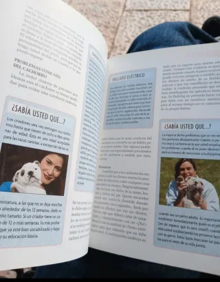 Bulldog Inglés (Excellence) (Spanish Edition)