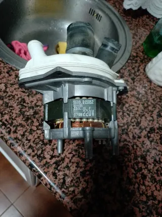Motor lavavajillas