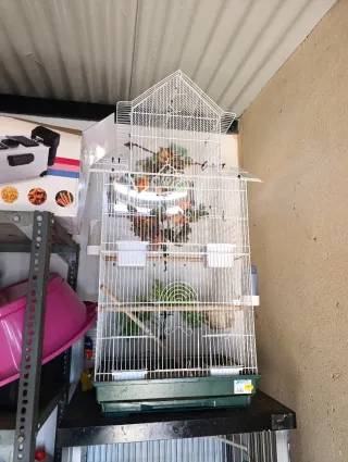 Jaula grande para pájaros