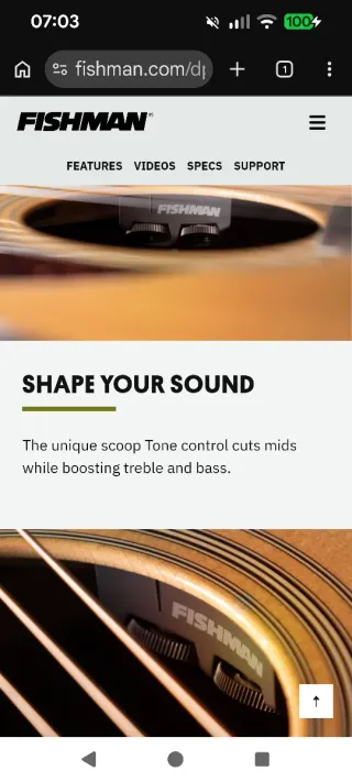 Pastilla Fishman Matrix VT Infinity