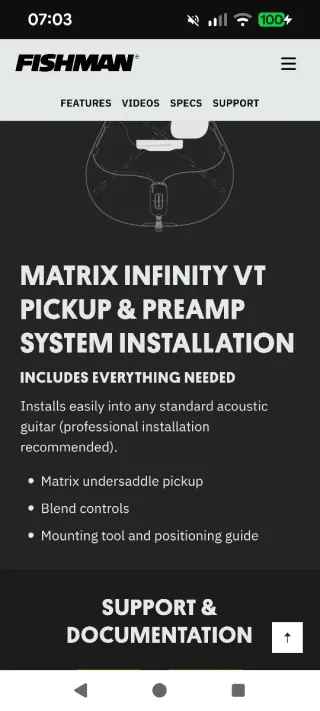Pastilla Fishman Matrix VT Infinity