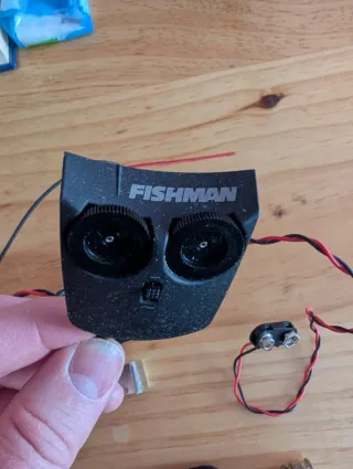 Pastilla Fishman Matrix VT Infinity