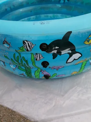 Piscina hinchable infantil con peces