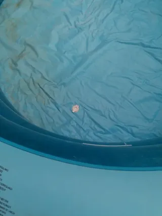 Piscina hinchable infantil con peces