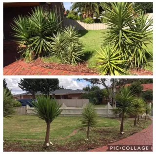 Servicio de jardinería