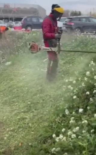 Limpieza de parcelas