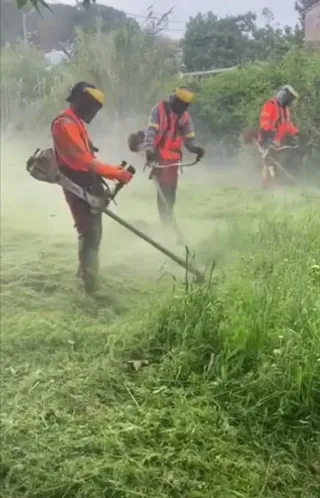 Jardinero económico