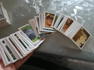 Figurine animali Coop