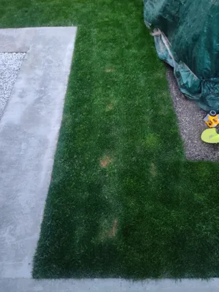 Corto césped y mantenimiento básico de jardín. •