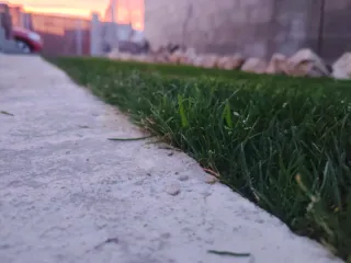 Corto césped y mantenimiento básico de jardín. •