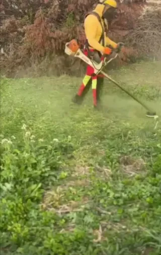 Jardinero económico