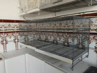 Jaula para pájaros o cría