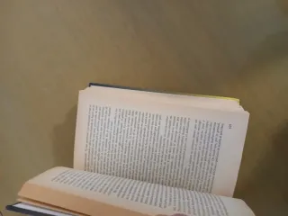 Bailando en la Luz, Shirley Maclaine