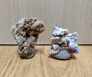 Roca Magnética Frags Acuario Marino