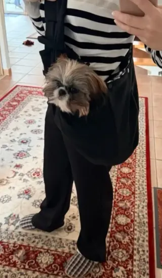Bolso transportador para mascotas
