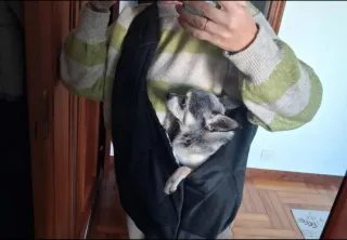 Bolso transportador para mascotas