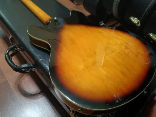 OFERTA Washburn HB30 TS Korea Guitarra