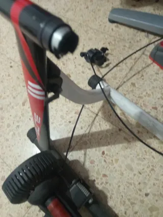 Rodillo Elite para Bicicleta