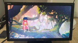 Monitor Lenovo ThinkVision