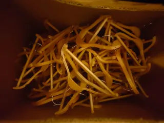 Perchas de madera y metal