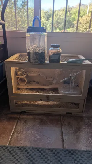 Jaula para hámster con hamster y ratón