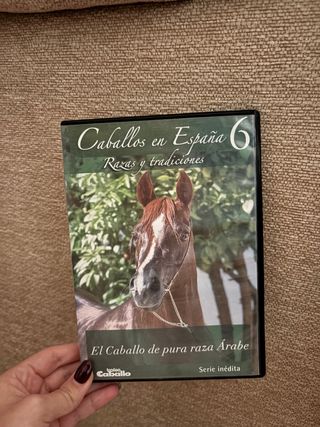 DVD Caballos en España 6: Raza Árabe