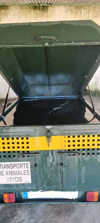 Remolque para perros