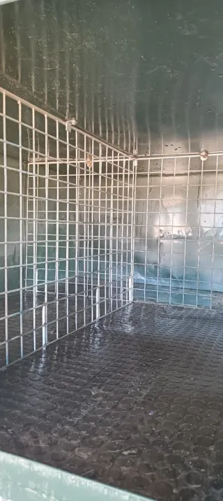 Remolque para perros