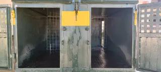 Remolque para perros