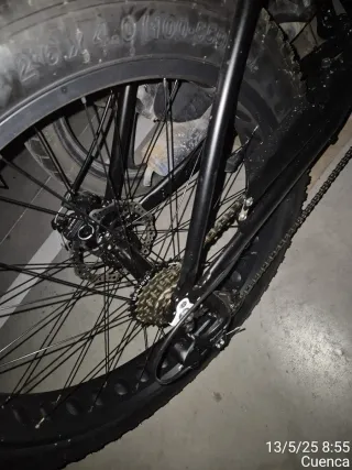 Bicicleta custom fat bike