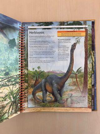 x2 Libros dinosaurios infantiles