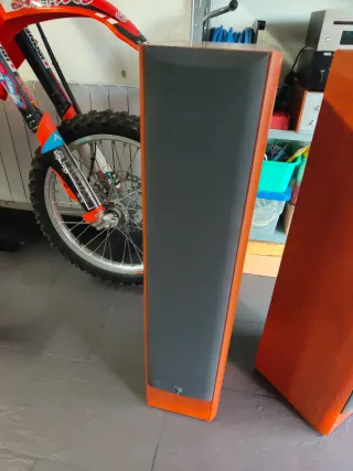 Cajas altavoces Focal Chorus