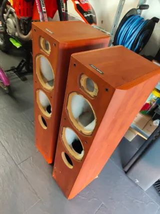 Cajas altavoces Focal Chorus