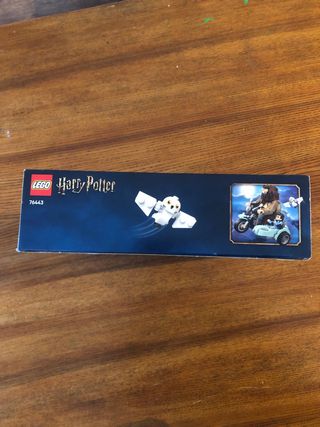 LEGO Harry Potter 76443: Viaje en Moto