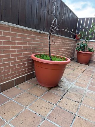 4 MACETAS MUY GRANDES DE EXTERIOR – PRECIO REGAL