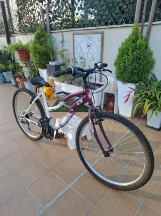 Bicicleta Mountain Series 50 MTB