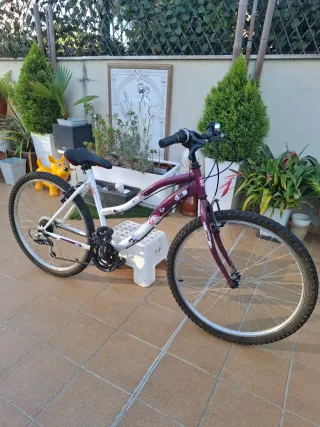 Bicicleta Mountain Series 50 MTB