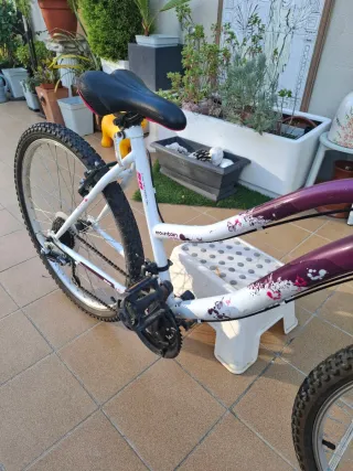 Bicicleta Mountain Series 50 MTB