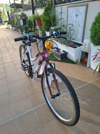 Bicicleta Mountain Series 50 MTB