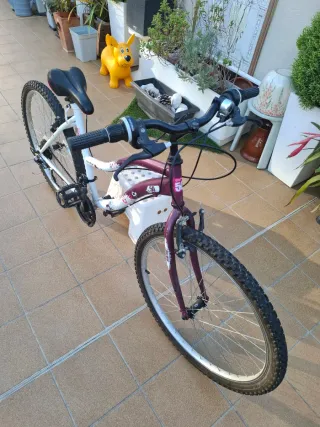 Bicicleta Mountain Series 50 MTB