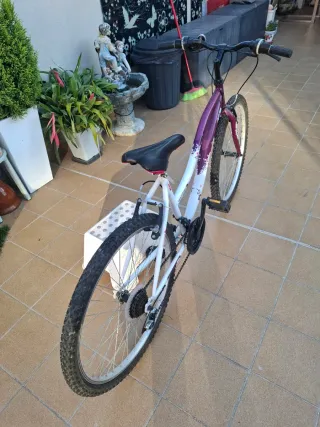 Bicicleta Mountain Series 50 MTB